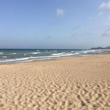 Delfin Apartman La Mata  Kültér fotó